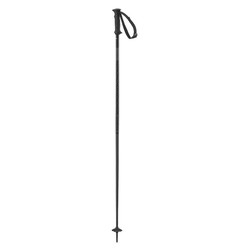 Salomon Polar Access Ski Poles 2025