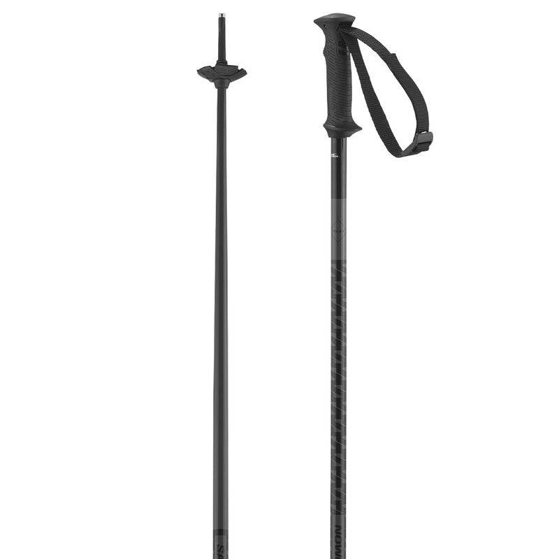 Salomon Polar Access Ski Poles 2025