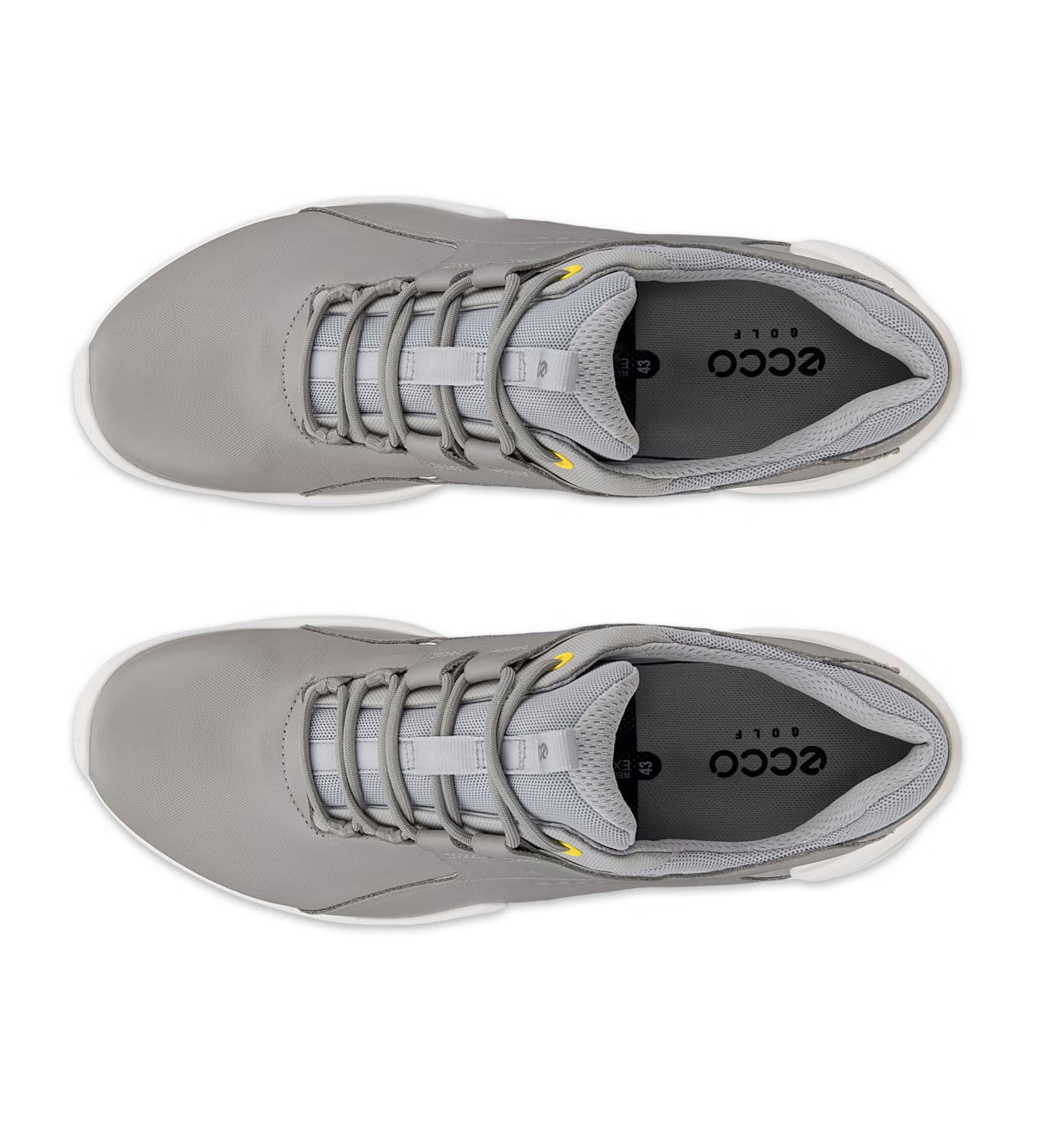 ECCO Men's Golf Biom Tour Golf Shoes – GolfDirectNow.com