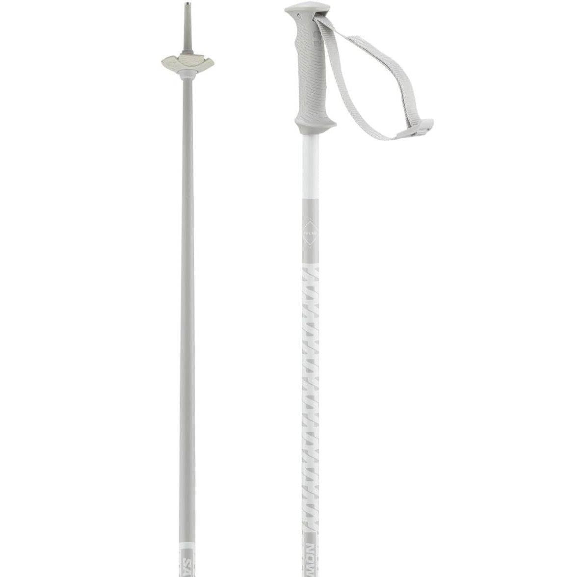 Salomon Polar Access Ski Poles 2025