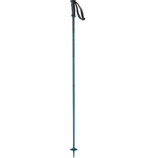 Salomon Arctic Ski Poles